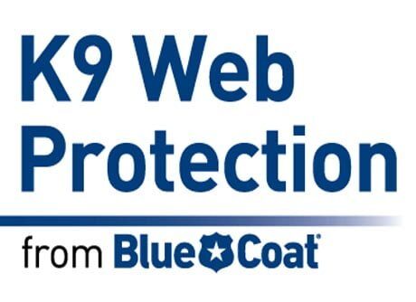 k9 web protection safe search stuck on