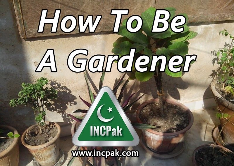 How to be a Gardener