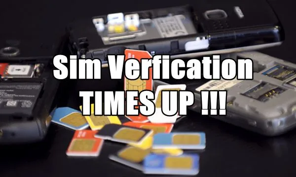 Sim verification