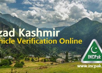 Azad Kashmir Vehicle Verification