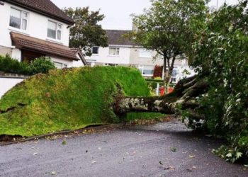 Storm Ali Takes life of 50-year-old Woman