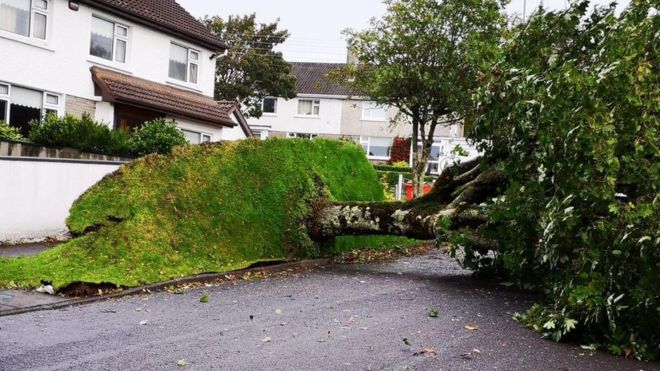 Storm Ali Takes life of 50-year-old Woman