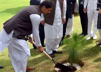 Clean And Green Drive Initiated By PM Imran Khan