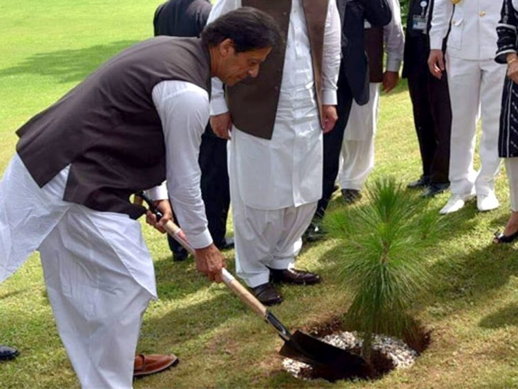 Clean And Green Drive Initiated By PM Imran Khan