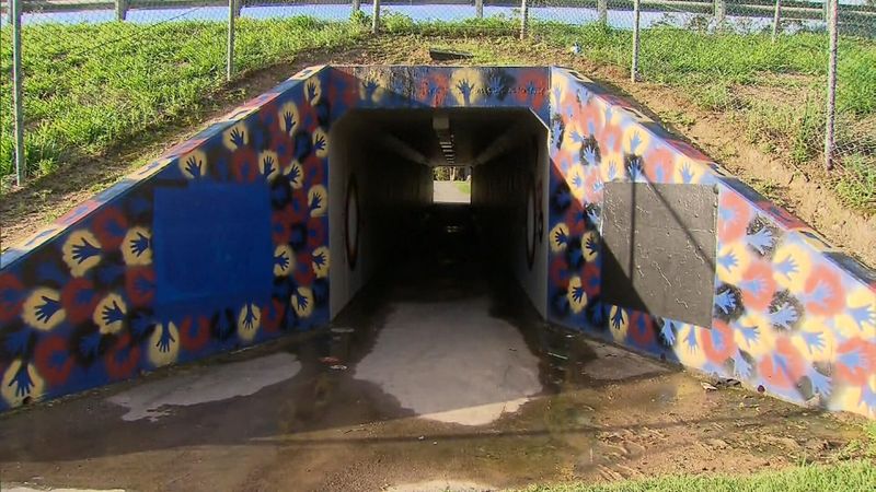 The tunnel where the young girl wasStabbed in the face repeatedly (Image 9News)