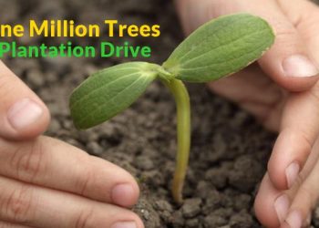 IMC initiates One Million Tree Plantation Drive