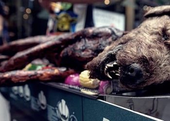 Barbecue Dog, Horrific Campaign of PETA Activists