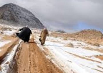 Snow Fall In Saudi Arabian Desert Tabuk