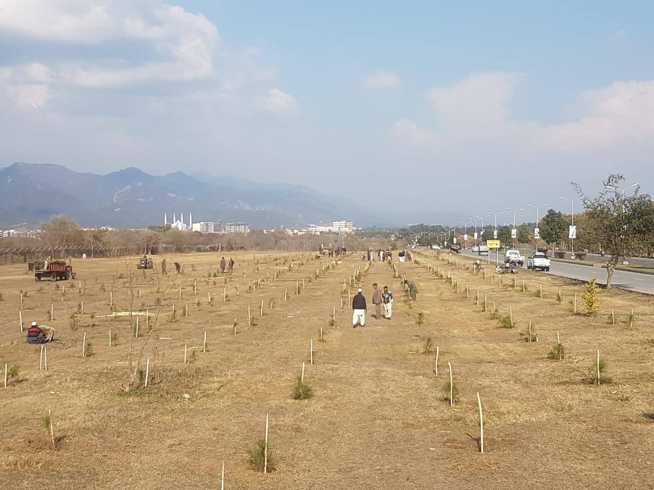 CDA & MCI carried out Tree Plantation Campaign in E10 Islamabad INCPak