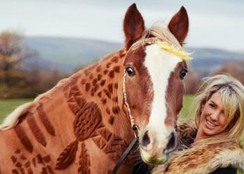 Melody Hames The Horse Barber