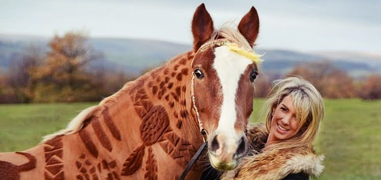 Melody Hames The Horse Barber