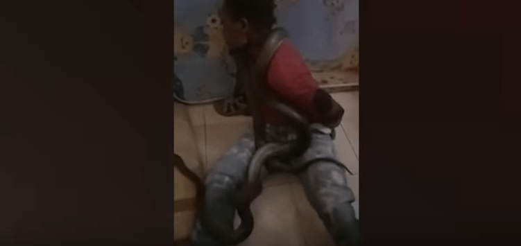 Indonesian Police Use Snake To Interrogate Papuan man