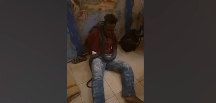 Indonesian Police Use Snake To Interrogate Papuan man