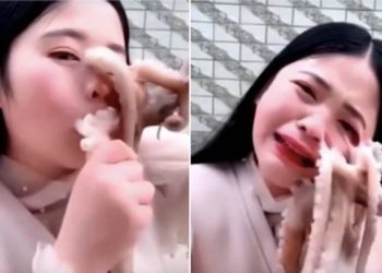 Woman tries to eat octopus alive, gets attacked back