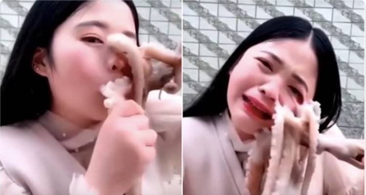 Woman tries to eat octopus alive, gets attacked back