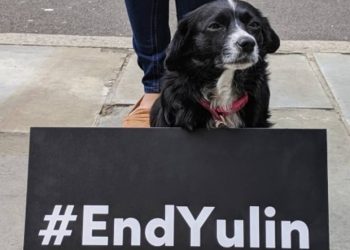 End Yulin: Fury as Yulin Dog Festival 2019 Begins