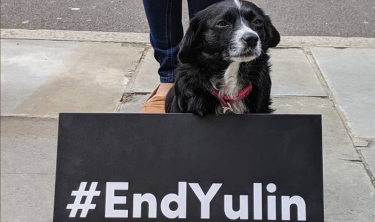 End Yulin: Fury as Yulin Dog Festival 2019 Begins