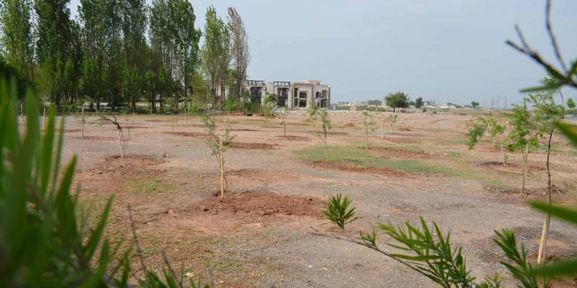 Tree Plantation on Kashmir Highway Islamabad