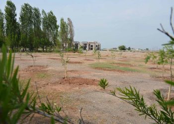 Tree Plantation on Kashmir Highway Islamabad