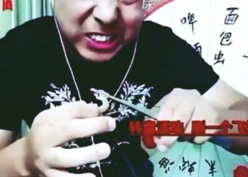 Chinese Vlogger Dies Eating Poisonous Centipedes, Geckos Alive