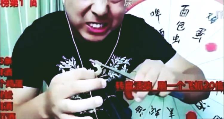 Chinese Vlogger Dies Eating Poisonous Centipedes, Geckos Alive