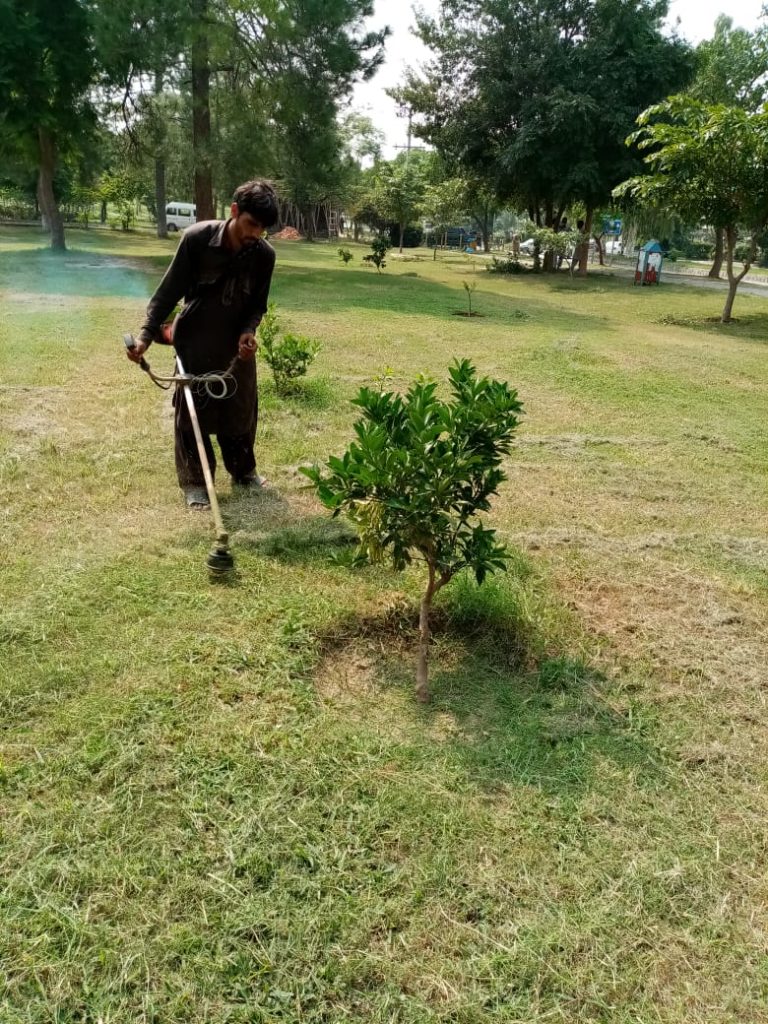 Clean and Green Islamabad