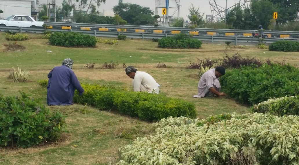 Clean and Green Environment in Islamabad