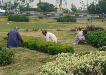 Clean and Green Environment in Islamabad