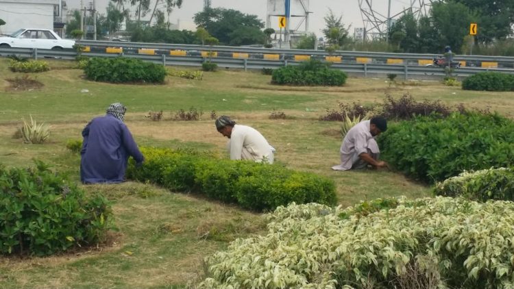 Clean and Green Environment in Islamabad