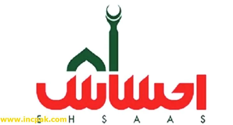 How to apply for Ehsaas Undergraduate Scholarships Programme