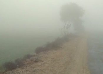 Dense Fog grips Punjab and Sindh Province