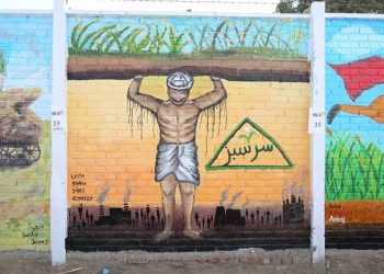 Sarsabz Canvas Wall pays tribute to the farmers of Pakistan