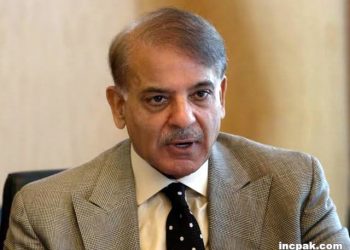 Shehbaz Sharif files lawsuit The Daily Mail Online David Rose