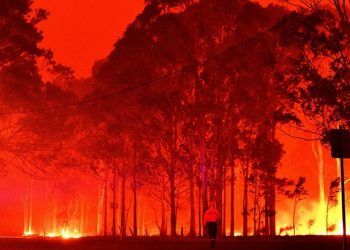 australia wildfires