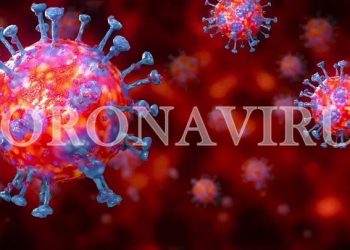 Coronavirus Cases in Pakistan