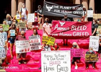 Animal bleed for human greed, Trafalgar Square fountains turned blood red