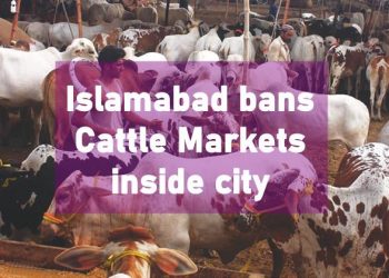 Islamabad Cattle Markets, Eid-Ul-Azha 2020