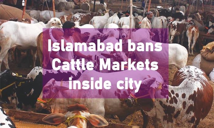 Islamabad Cattle Markets, Eid-Ul-Azha 2020