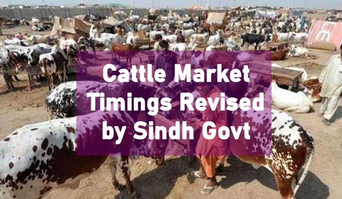 Cattle market timings, timings for cattle markets, sindh cattle markets, sindh cattle market, Timings cattle markets