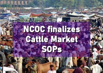 Cattle Markets SOPs.