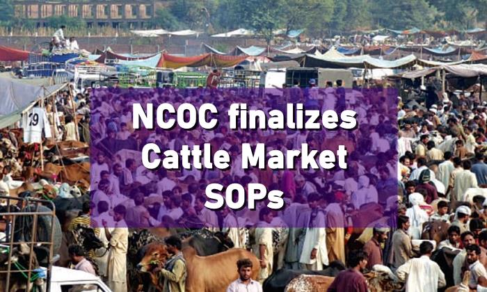 Cattle Markets SOPs.