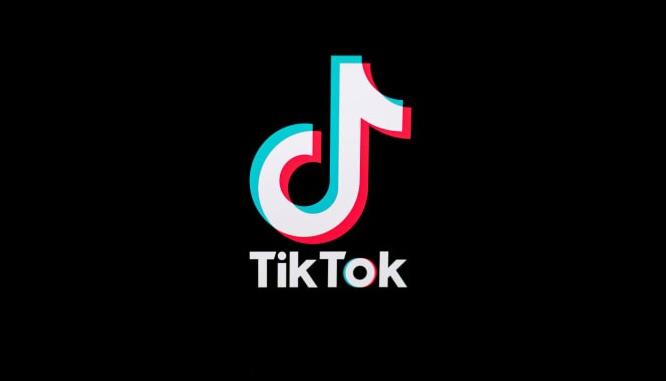 TikTok ban, TikTok PTA, TIkTok Ban in Pakistan, Ban in Pakistan, Fawad Chaudhry