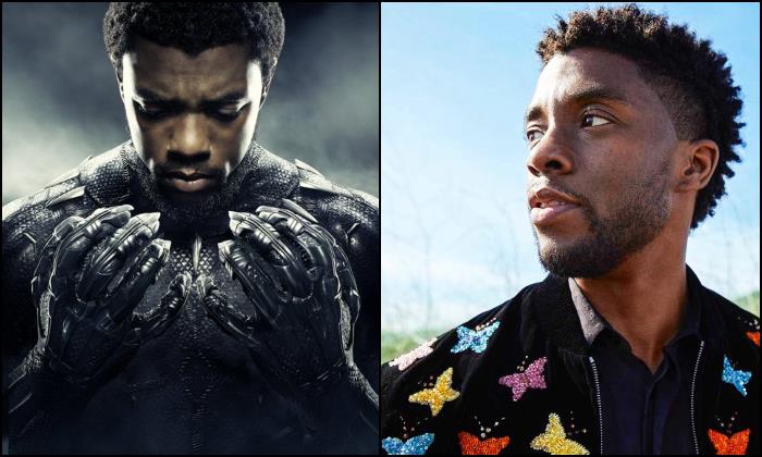 Chadwick Boseman, Black Panther