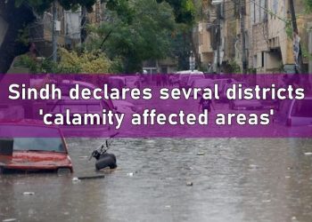 Sindh calamity affected areas, sindh calamity, calamity affected areas