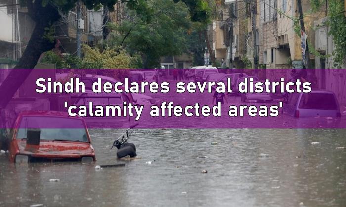 Sindh calamity affected areas, sindh calamity, calamity affected areas