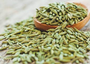 Fennel Seeds: Top 15 health benefits and side effects