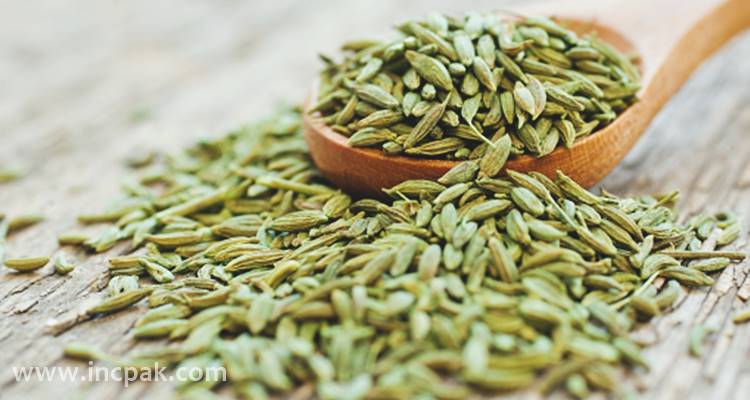 Fennel Seeds: Top 15 health benefits and side effects