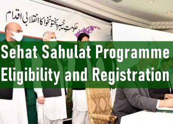 Sehat Sahulat Programme, Sehat Sahulat Program