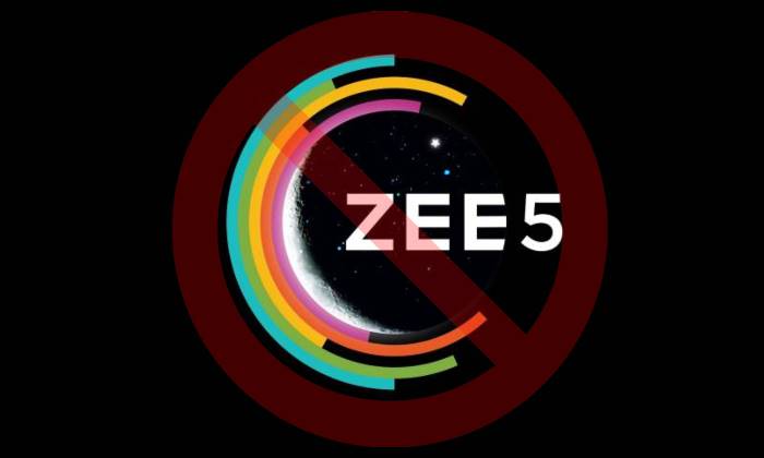 Payments ZEE5, ZEE5, SBP, Indian Content