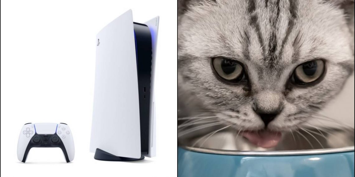 PlayStation 5, PS5, PlayStation 5 Cat food, PS5 Cat food